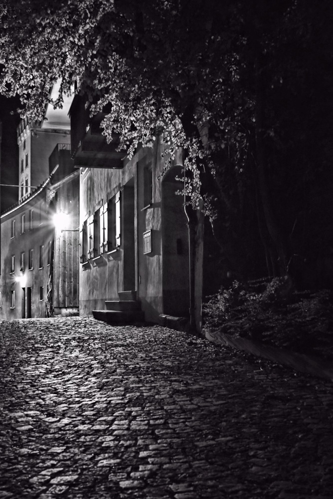 2. Platz Harald Unglert